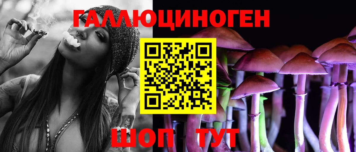 Псилоцибиновые грибы Psilocybine cubensis Советск