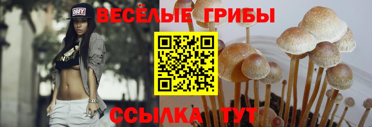 купить   Галлюциногенные грибы мухоморы  Вход с VPN  Советск 